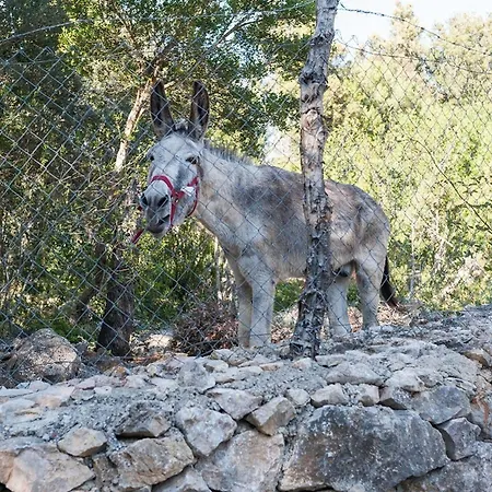 Villa Coco *